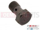 PIAGGIO 265451 - Oil pipe screw M10x18