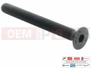 PIAGGIO Beverly 500 1B006376 - Vis