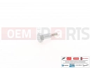 PIAGGIO X9 250 Evolution 10 pc - 299972 - Vis