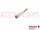 DUCATI 2013 HYPERSTRADA 2 pc - 77156738B - Vis