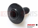 DUCATI 2015 Hyperstrada 77214411AA - Vis