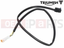 Triumph 2021 Thruxton RS T2024946 - Microswitch
