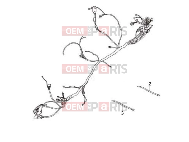 gilera 2009 Oregon 250 Electrical system » Main cable harness