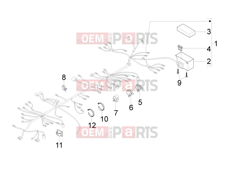 gilera 2018 Runner 50 SP Electrical system » Main cable harness