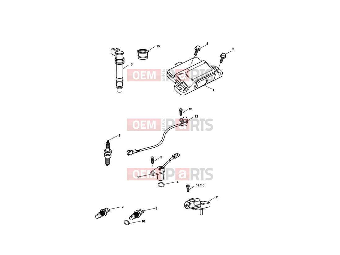 Triumph 2012 SPRINT GT Engine Management System