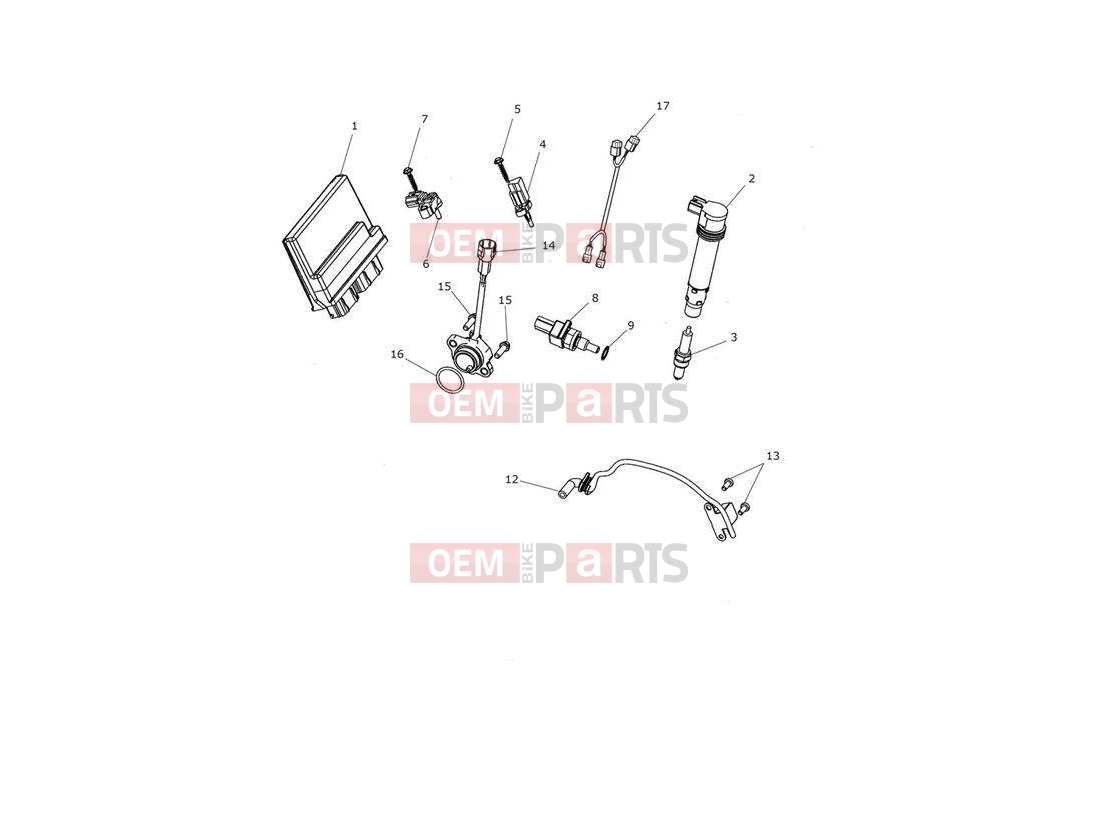 Triumph 2013 TROPHY 1215 Engine Management System