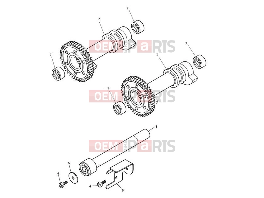 Triumph 2011 SCRAMBLER EFI Balancer