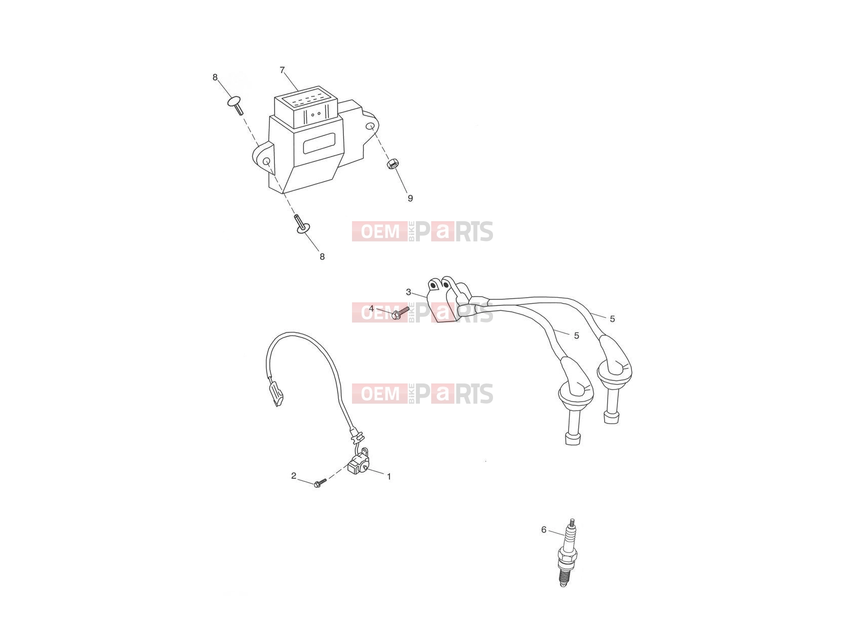 Ignition System - Triumph THRUXTON 900 CARBS 2006