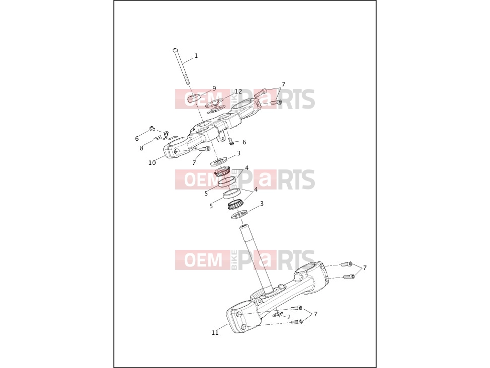 Harley-Davidson 2020 SOFTAIL SOFTAIL FXDR 114  - FXDRS FORK BRACKETS, FRONT - FXFB, FXFBS
