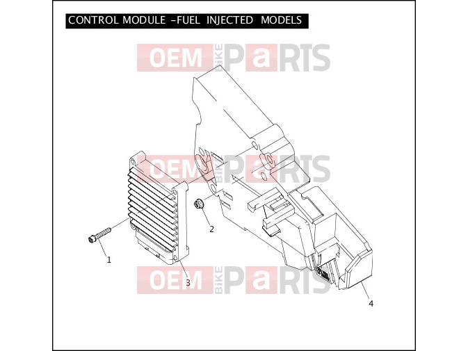 Harley-Davidson 2004 TOURING ELECTRA GLIDE STANDARD  - FLHT CONTROL MODULE - FUEL INJECTED MODELS
