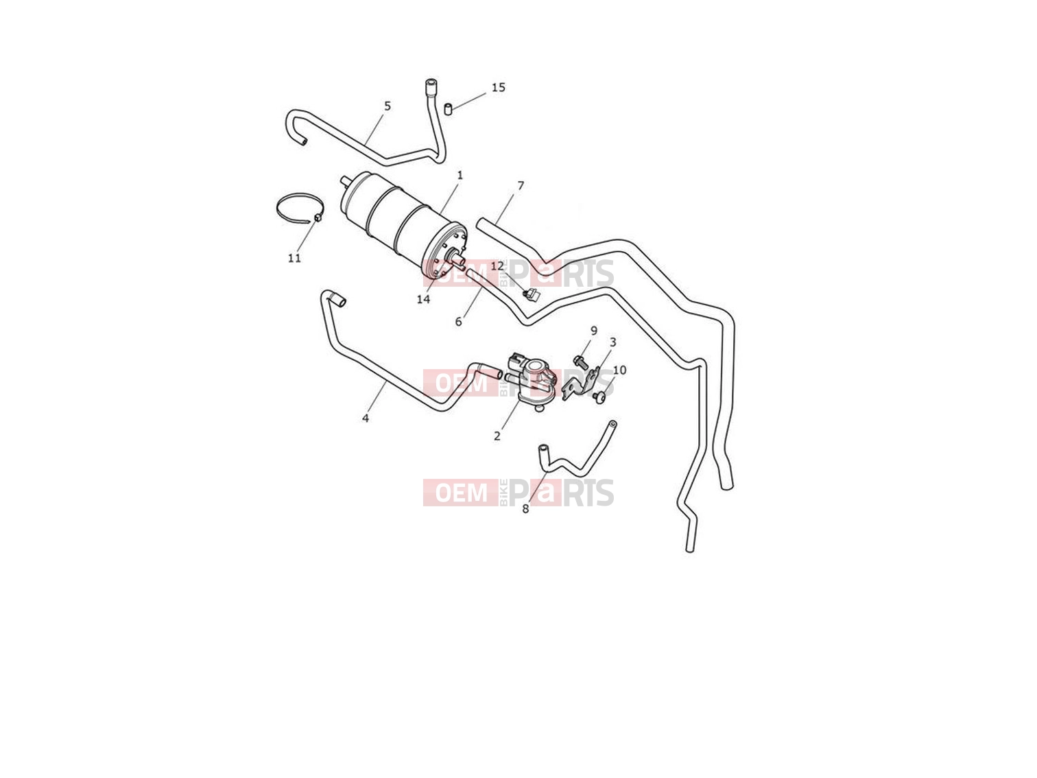 Triumph 2023 Trident 660 Evap System