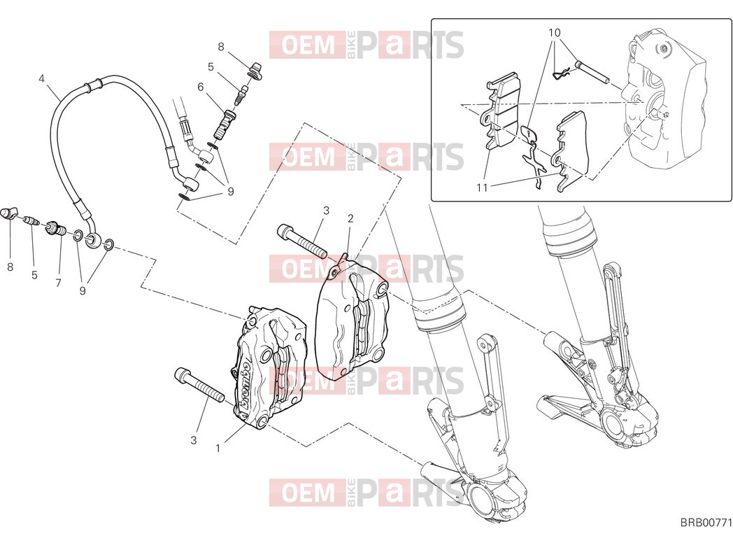 Front brake system - Ducati Monster Plus 2025