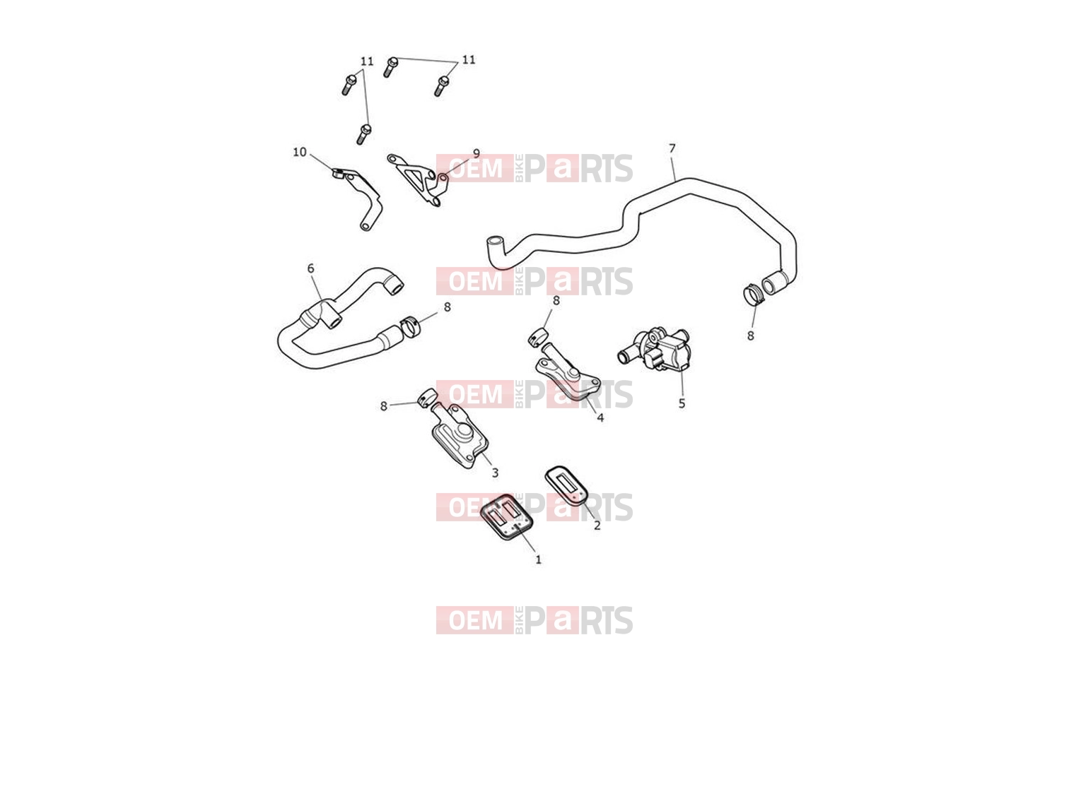 Triumph 2024 Trident 660 Emissions Control System