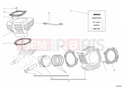 DUCATI 2014 Monster 796 ABS CYLINDER - PISTON » ENGINE CASE