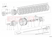 DUCATI Hypermotard 796 CLUTCH » CLUTCH