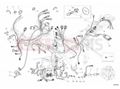 DUCATI 2009 Superbike 1098 R Bayliss WIRING HARNESS » WIRING HARNESS