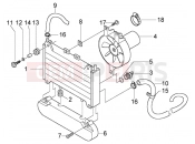 Coolant radiator - Piaggio BV 250 MY2005 (U.S.A.)