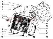 Coolant radiator - Piaggio Super Hexagon GTX 125