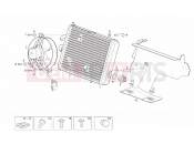 Water cooler - Derbi Rambla 125-250 2008