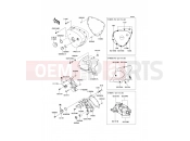KAWASAKI W800 (EJ800ABF) Left Engine Cover(s)