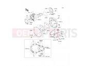 KAWASAKI W800 (EJ800ABF) Right Engine Cover(s)