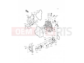 Engine Cover(s) - Kawasaki ER-6n ABS (ER650FCF) 2012