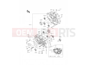 KAWASAKI KLX250 (KLX250SEF) Crankcase