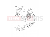 KAWASAKI 2016 Engine Cover(s)