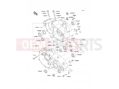 Crankcase - Kawasaki KX85 (KX85A6F) 2006
