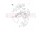 Engine Cover(s) - Kawasaki KX65 (KX65-A1) 2000