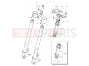 MV Agusta 2006-2007 F4 1000R Front Suspension Assembly