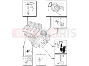 Engine Electric System - MV Agusta 2007-2008 F4 312R 1000 1+1