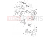 Gear Selector Assembly - MV Agusta Stradale 800