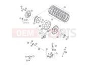 CLUTCH - KTM 250 SX (6301G0) [EU] 2007