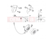 IGNITION SYSTEM - KTM 250 SX (6301G0) [EU] 2007