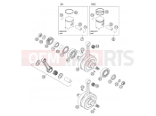 CRANKSHAFT, PISTON - KTM 125 SX (6101D0) [EU] 2004