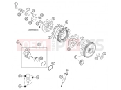 KTM 65 SX (6001D6) [EU] 2004 CLUTCH