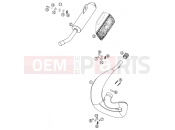 KTM 65 SX (600136) [EU] 2003 EXHAUST SYSTEM