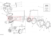 DUCATI XDiavel S CYLINDERS - PISTONS [MOD:XDIAVELS]