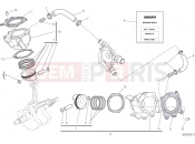 DUCATI Monster 821 CYLINDERS - PISTONS [MOD:M 821]