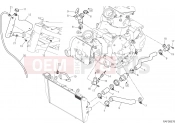 DUCATI Multistrada 950 COOLING CIRCUIT [MOD:MS950T]