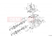 DUCATI Multistrada 950 VERTICAL CYLINDER HEAD - TIMING [MOD:MS950]