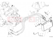 DUCATI 2020 Multistrada 1260 Enduro OIL COOLER [MOD:MS1260E]