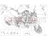 DUCATI 2021 Monster 821 Stealth WIRING HARNESS [MOD:M821STEA]