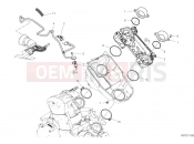 DUCATI Hypermotard 950 Throttle Body