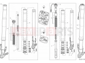 Front Fork - Ducati Multistrada V4 S 2021
