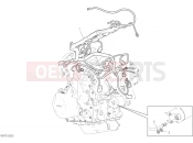 Wiring Harness (Coil) - Ducati Multistrada V4 S 2021