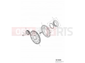 TRIUMPH DAYTONA 600 & 650 Alternator and Starter Drive
