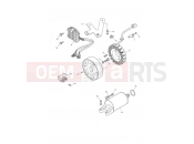 Starter & Alternator - Triumph DAYTONA 600 & 650 2008