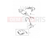 Triumph 1998 TRIDENT Ignition System